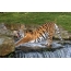 Tiger vodopád