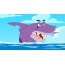 Purple köpəkbalığı