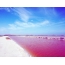 Lago rosa Austrália