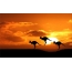 Kangaro Sunset