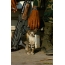 Katės, tarnaujančios armijoje