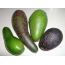 Намудҳои гуногуни avocado