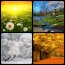 Tavasz, nyár, ősz, tél