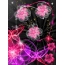 Gambar bunga animasi di telepon