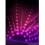 Lilac screensaver
