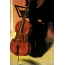 Boyalı violonçel