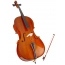 Musikkinstrument Cello