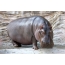 Hipopótamo de mesa